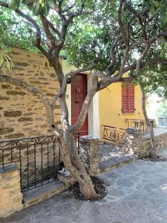 La Brigandine - Bormes-les-Mimosas - 9