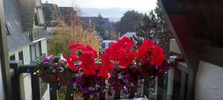 Résidence Les Embruns - maeva Home - Studio 4 personnes - Confort MAE-0126 - 2