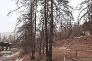Résidence Les Flocons - Studio pour 4 Personnes MAE-7324 - Les Orres - 2