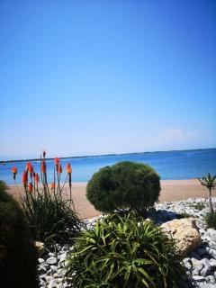 Résidence Caraibes - Appartement 2 pièces au 1er étage à Le Barcarès - Cap Coudalère MAE-8334 - Le Barcarès - 2