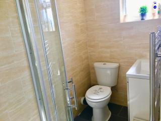 1 Bedroom Apartment, Reception ,Kitchenette, Private Bathroom - Ilford - 5