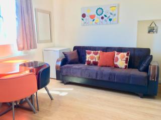 1 Bedroom Apartment, Reception ,Kitchenette, Private Bathroom - Ilford - 3