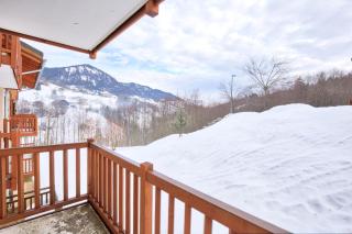 Les Chalets Des Evettes - Appartement au pied des pistes de l'espace diamant MAE-3394 - Notre-Dame-de-Bellecombe - 9
