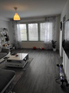 Privat apartment Bojan - Malmö - 2