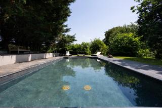 Landscove House - Woodland - 9