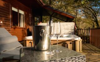 Heron Lodge with Hot-tub - 5