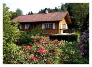 Chalet au bord de l’eau - Saint-Quirin - 9