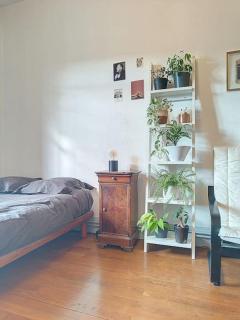 Spacieux T3 80m2 plein centre presque ile ! - Lione - 5