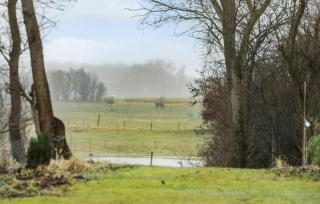 Lovely Home In Hundested With Wifi - Hundested - 8