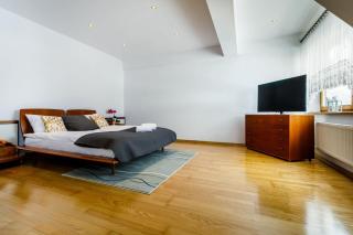 Orkana Apartment in Zakopane by Rent like home - Zakopane - 3