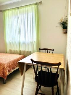 5 minute walk to LEGO house - best location-garden on site-n18 - 1