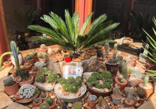 A La Martha's Air-Port Guest House - Port Elizabeth - 8