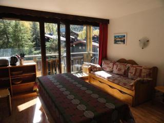 Résidence Les Balcons De La Vanoise - LES BALCONS DE LA VANOISE - BV504 MAE-5004 - Villarodin-Bourget - 9