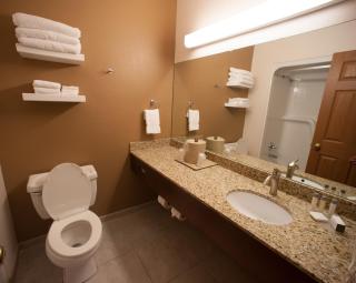 Northfield Inn Suites and Conference Center - Springfield - 2