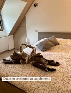 Gîte de Mende - Mende - 8