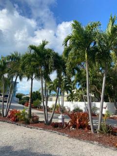 CASA BAHIAMAR Stunning Home - 28 DAY MINIMUM, Pool AND DOCK - Key Largo - 6