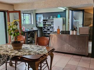 House Olive - 3