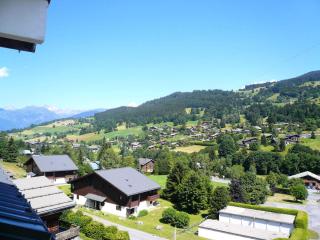 Résidence Princesse En Etraz Narcisse - Princesse en Etraz N34 MAE-2284 - Combloux - 2