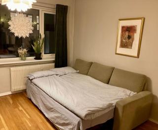 Spacious & cosy apartment - ideal location Majorstuen - Oslo - 6