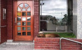 GANCYBEL II - Puerto Madryn - 6