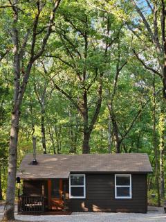 Bennettscape Tiny Cabin - Lebanon - 9