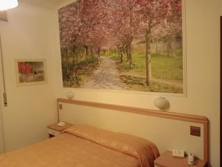 Hotel Rosa Meublé - Porto San Giorgio - 6