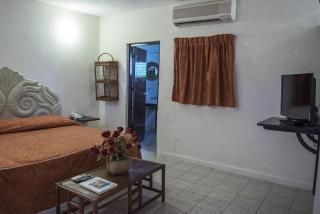 Villablanca Garden Beach Hotel - Cozumel - 8