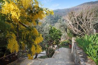 Ca' dû Massunin - Recco - 9