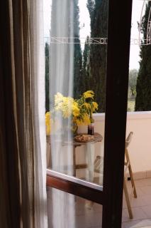 Il Giardino di Cristina - Vagliagli - 2