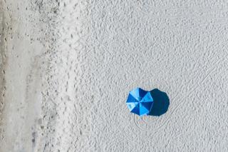 Venice Beach Views - 2 bedroom - Venice - 5