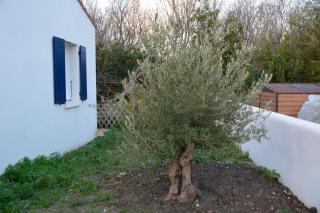 LA CASA DE BABOU - Le Château-dʼOléron - 3