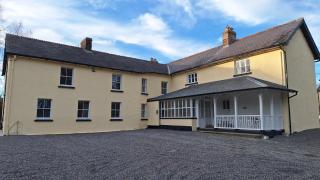 The Monkey Puzzle - Bunclody - 4