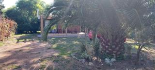 Hojas de Otoño SOLO CON SEÑA - 1