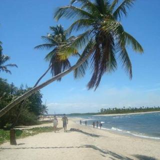 Parque monte alto - 2