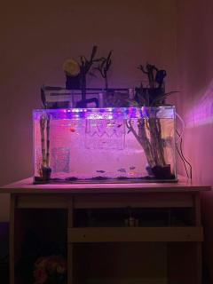 JBR Cozy Bed & Breakfast - 1