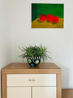 Harrison Homes Prague Apartment 02 - 5