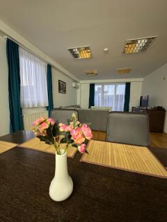 ARG Apartment Sarajevo - Sarajevo - 6