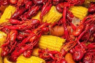 Cypress House*Cozy, Chic, and yours to book now! - 3