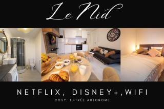 Le Nid 3 étoiles Wifi, Netflix, Disney, Coeur de Bastide - Villefranche-de-Rouergue - 0