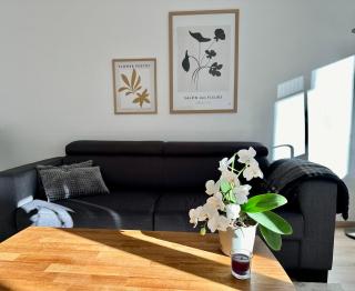 Modernes Zwei-Zimmer-Apartment Chemnitz - Kaßberg - 9