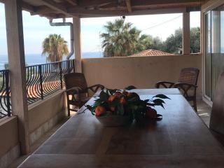 Appartement villa toit terrasse - Menton - 2