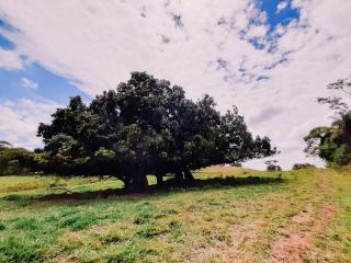 Espaço camping - Barraca 1 - 5