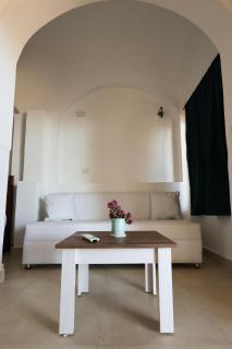 Sunshine Divers Club - 7