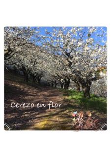 APTO RURAL FRAGARIA - VALLE DEL AMBROZ - entorno natural único "ALQUILER FAMILIAR", Wifi, netflix, aire acondicionado, calefacción, aparcamiento en la puerta - 0