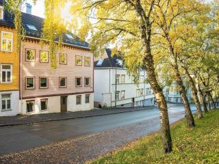 2-BR close to city centre - Trondheim - 1