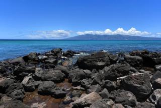 Largest One Bedroom At Kuleana - Oceanfront Unit!! #105 - 7