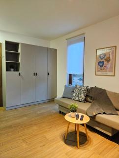 Studio Apartman Nomad Divčibare - Divčibare - 8