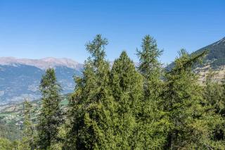 Résidence Le Belvedere - Studio au coeur des Orres 1650 MAE-6974 - Les Orres - 2