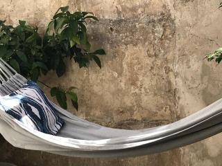 Lovely house with courtyard and terrace near canal du Midi - Trèbes - 1