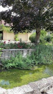 Maison bord de rivière 15 min de Sens - - 7